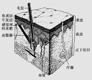 pagenumber_ebook=45,pagenumber_book=32