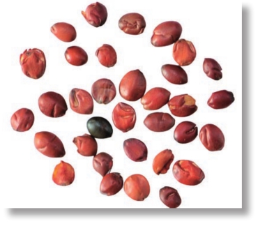 pagenumber_ebook=230,pagenumber_book=217