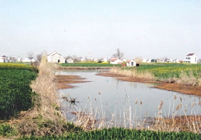 pagenumber_ebook=78,pagenumber_book=63