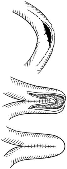 pagenumber_ebook=569,pagenumber_book=554