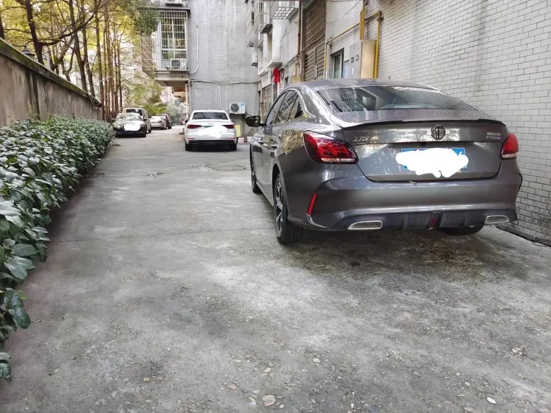 1 1.jpg?v=1770176589767