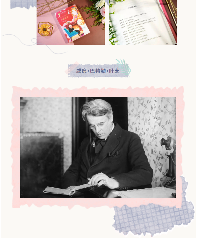 image.png?v=1751770127604
