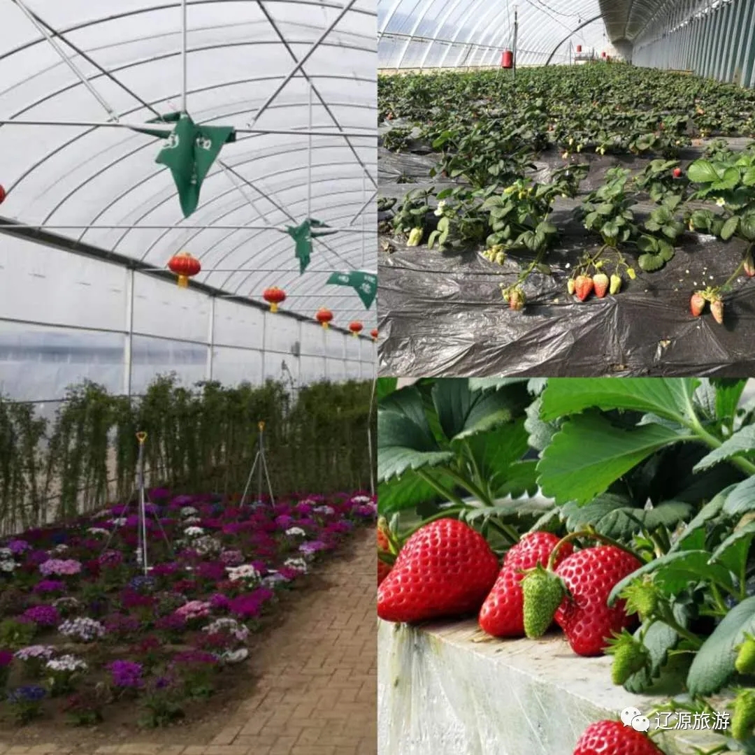 640.webp (14) 640.webp (14)