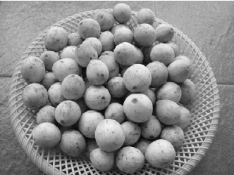 pagenumber_ebook=64,pagenumber_book=64