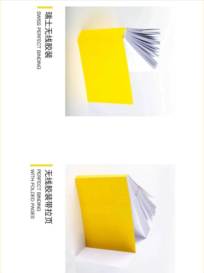 image.png?v=1757830622152