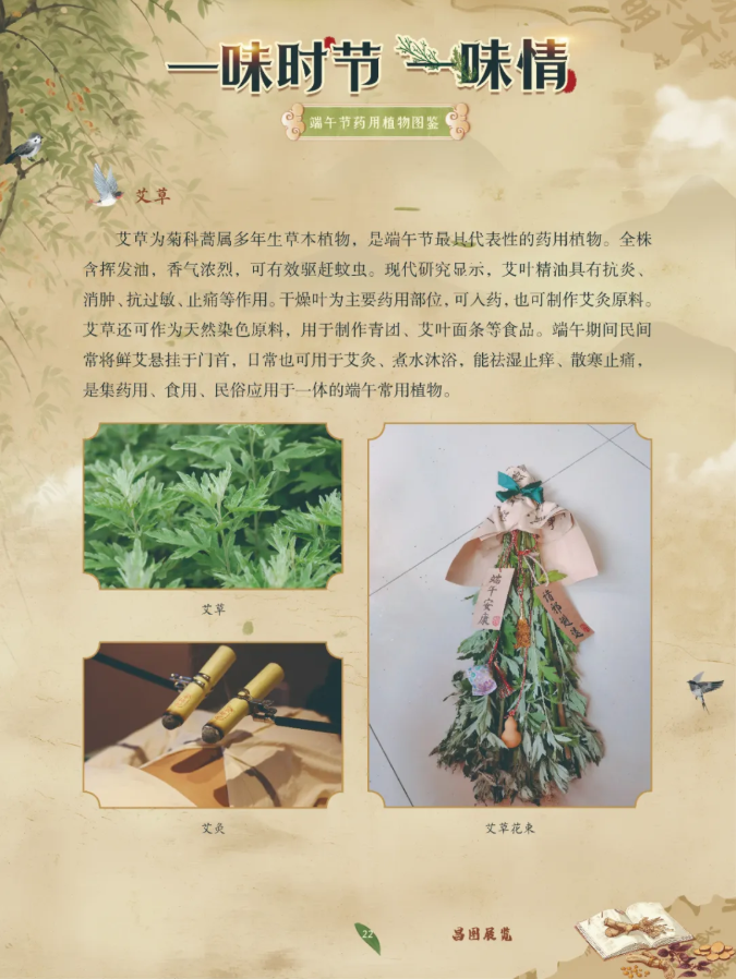 image.png?v=1782174181266