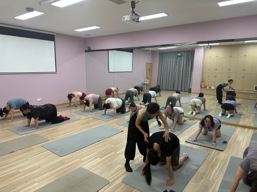 IMG_3770.HEIC IMG_3770.HEIC.jpg?v=1761727911691