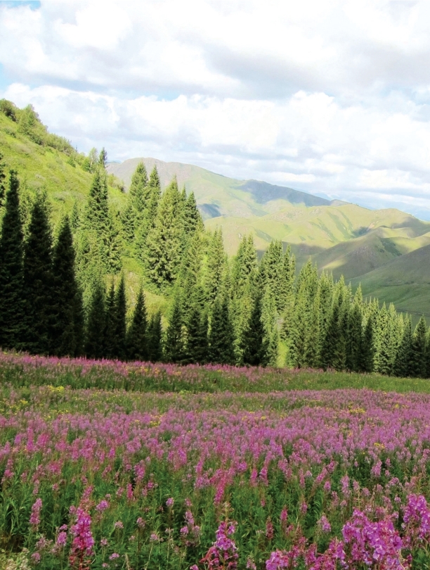 pagenumber_ebook=77,pagenumber_book=66