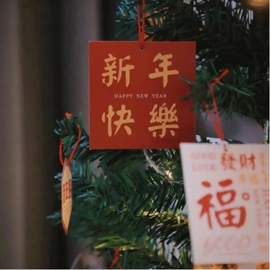 image image.png?v=1770186311088