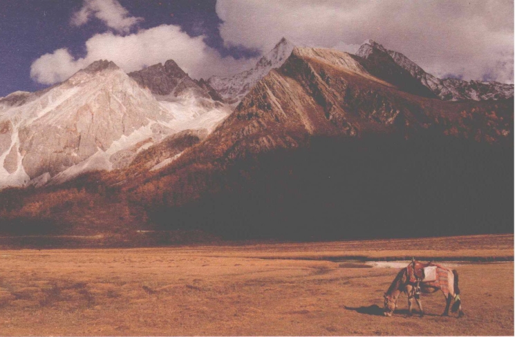 pagenumber_ebook=24,pagenumber_book=16