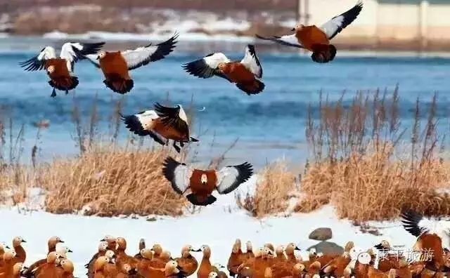 6402.webp 6402.webp.jpg