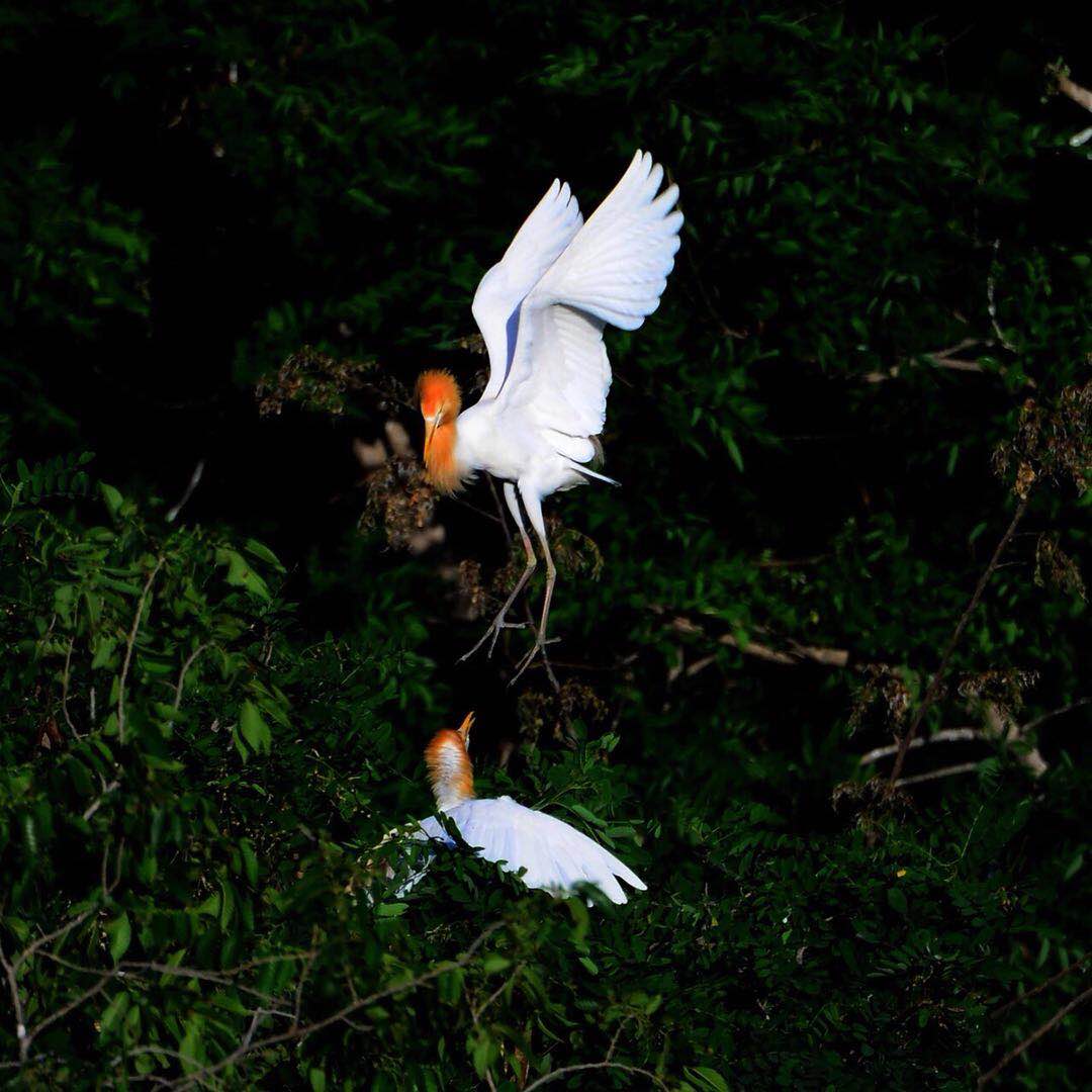 微信图片_202006051641122