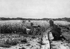 pagenumber_ebook=684,pagenumber_book=684