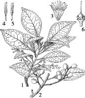 pagenumber_ebook=138,pagenumber_book=138