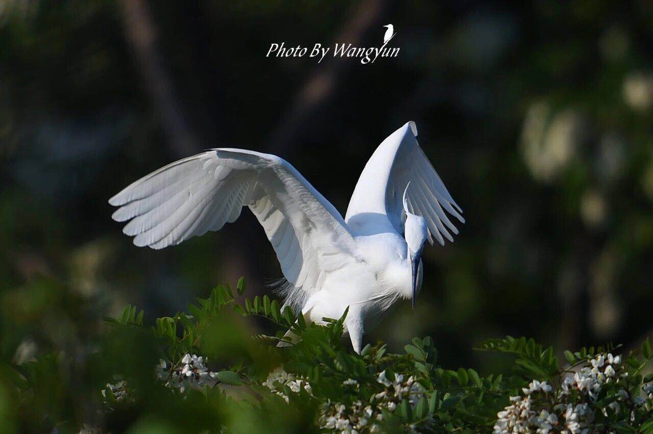 微信图片_202006051641127