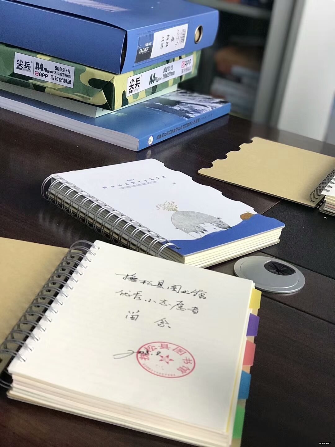 20180816抚松县图书馆优秀小志愿者评选3