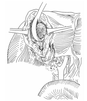 pagenumber_ebook=293,pagenumber_book=285