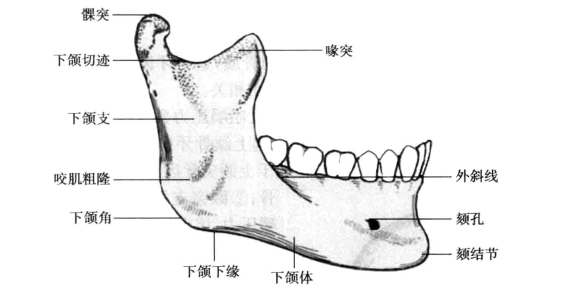 pagenumber_ebook=61,pagenumber_book=52