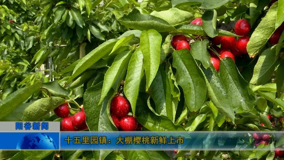 微信图片_20210419091729.jpg