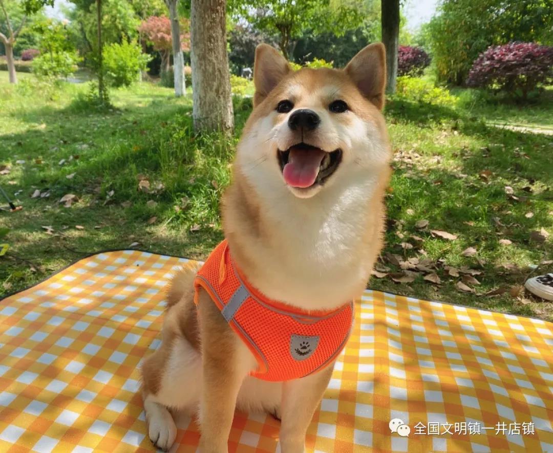 微信图片_20210506113125