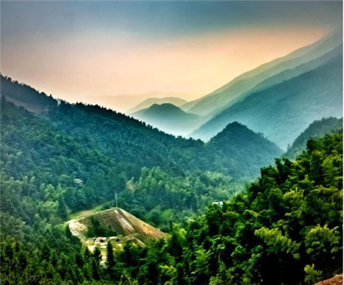 微信图片_20201129213724 微信图片_20201129213724.png