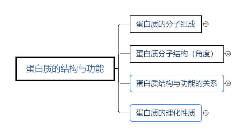 蛋白质的结构与功能(1).png