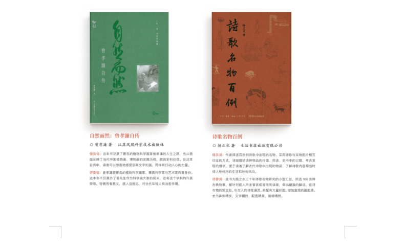 image.png?v=1762243245581