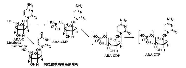 pagenumber_ebook=382,pagenumber_book=364