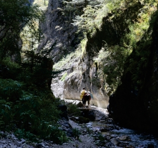 pagenumber_ebook=98,pagenumber_book=86