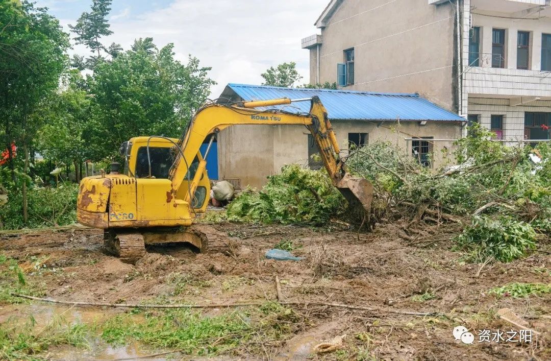 6 6.jpg?v=1765946446483