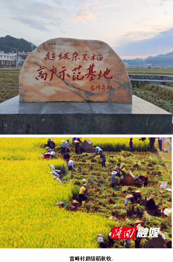 1732338652211 1732338652211.png