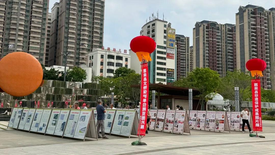 图片24 图片24jpg