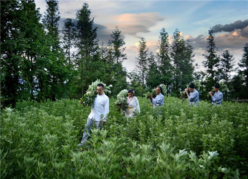 微信图片_20200617214808 微信图片_20200617214808.jpg