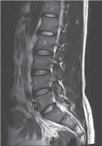 pagenumber_ebook=34,pagenumber_book=25