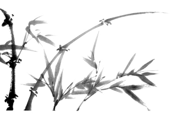 pagenumber_ebook=240,pagenumber_book=240