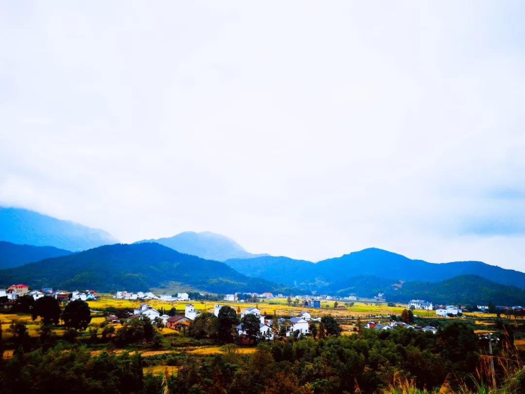 微信图片_20201009130306 微信图片_20201009130306.jpg