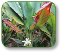 pagenumber_ebook=178,pagenumber_book=165