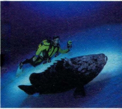 pagenumber_ebook=218,pagenumber_book=209