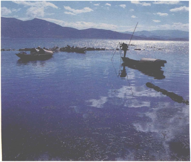 pagenumber_ebook=131,pagenumber_book=123