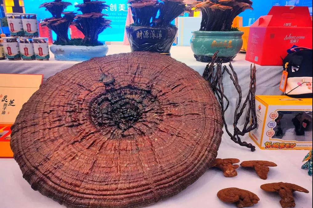 微信图片_20211224102309 微信图片_20211224102309.jpg