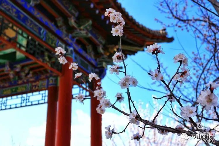 微信图片_20230414095914