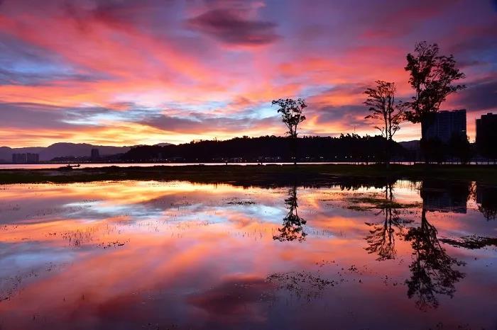 7 7.jpg?v=1762323971528