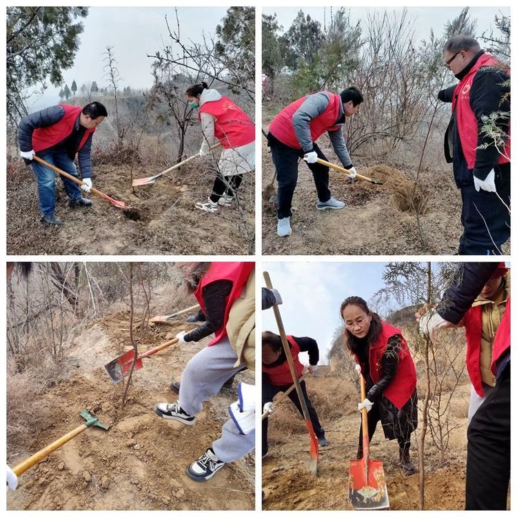 8f38793d82b24fd9977b633f06b5fef1