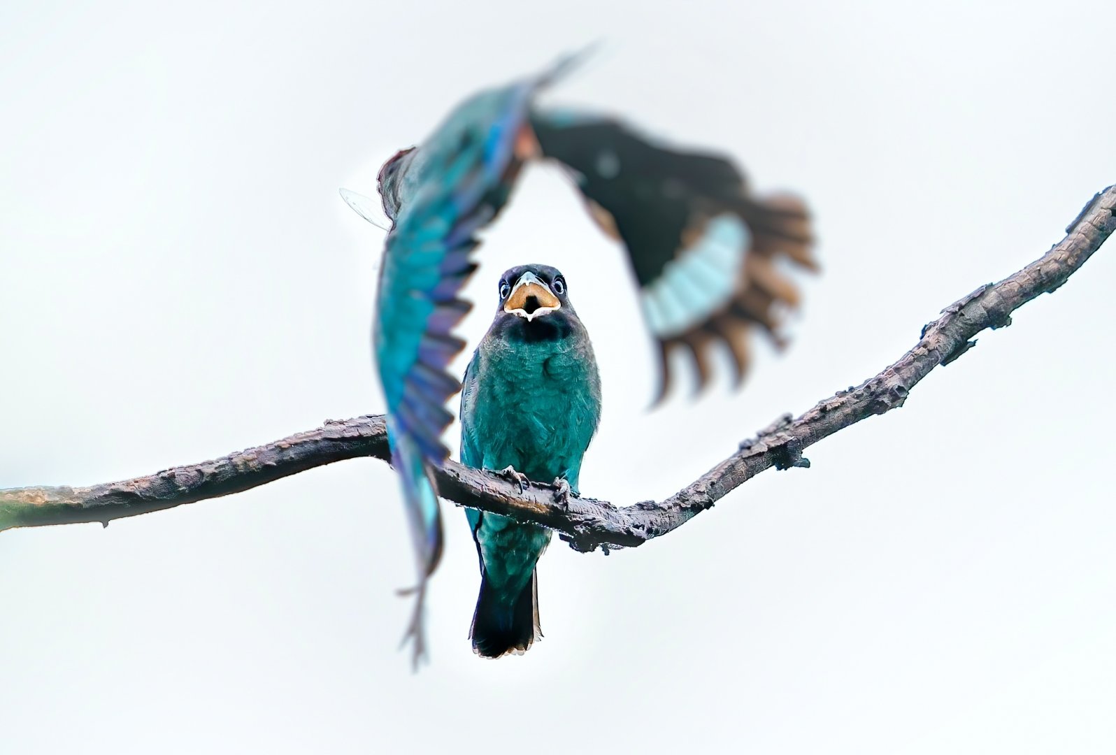 007dll2Jly4h6owdfhp7hj318c0u0goe