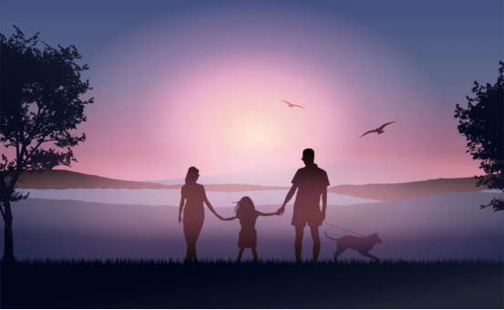 image image.png?v=1762323640968