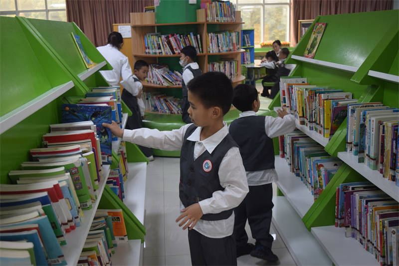 图片13 图片13.png?v=1772866390288