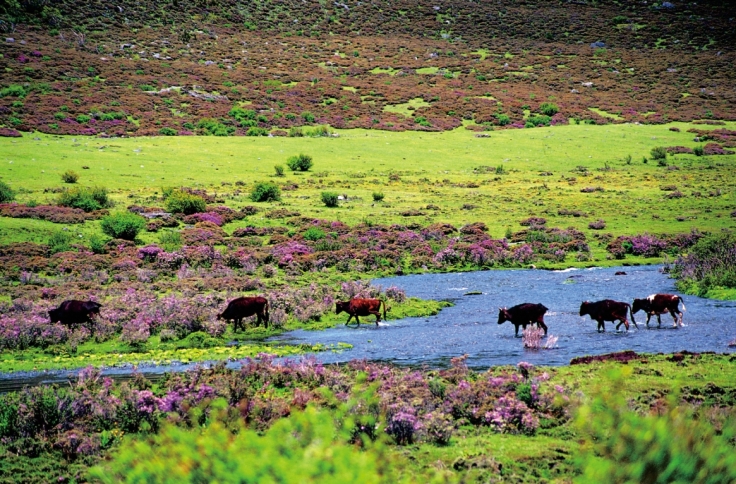 pagenumber_ebook=79,pagenumber_book=67