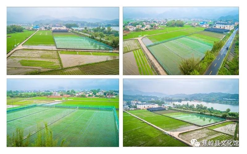 21 21.jpg?v=1765891042459