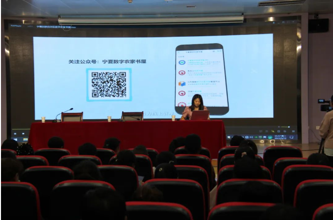 image image.png?v=1763579361211