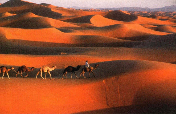 pagenumber_ebook=167,pagenumber_book=158